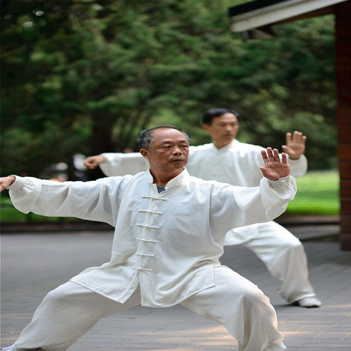 latihan tai chi